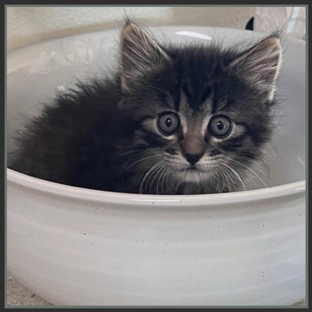 Meet your Posher, Marilyn